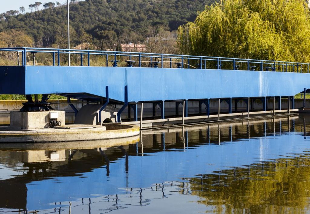 Dia cambio climático