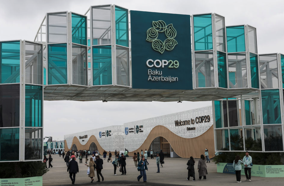 COP29