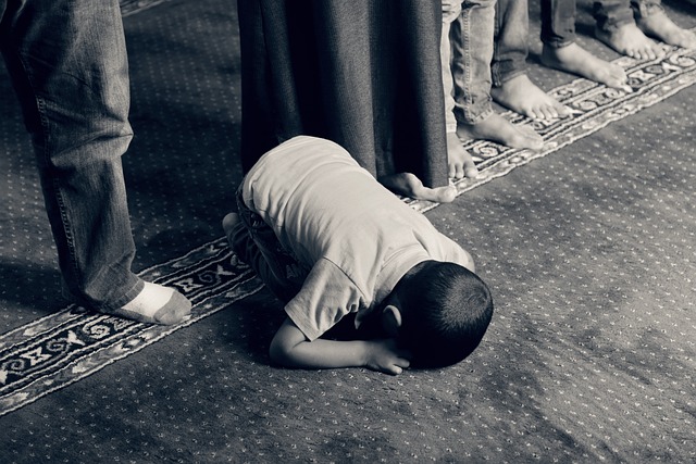 panorama religiós global