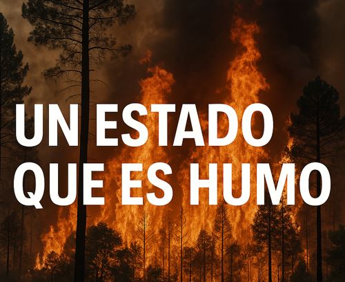Gestió del foc