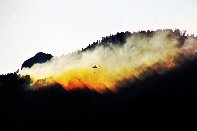 Sánchez incendis