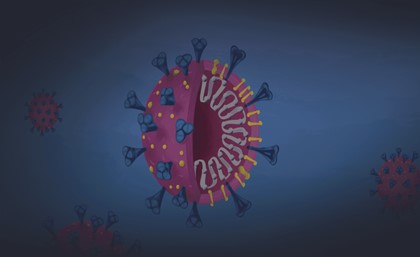 informe pandèmia covid-19