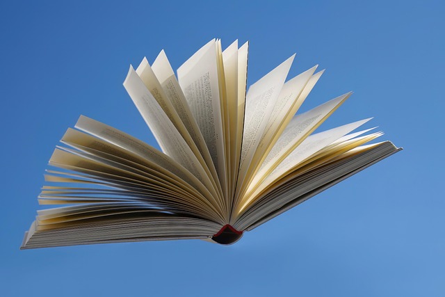 anomalia ensenyament Catalunya