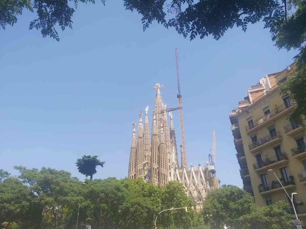 Programa Papa Catalunya