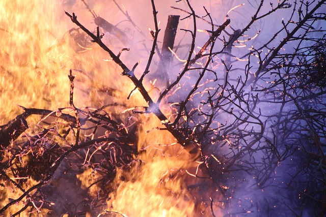 política forestal de Catalunya